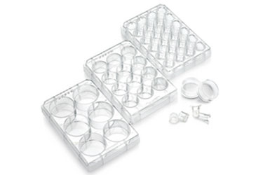 Placa 24 poços para cultura, fundo chato, estéril, com tampa, Nest